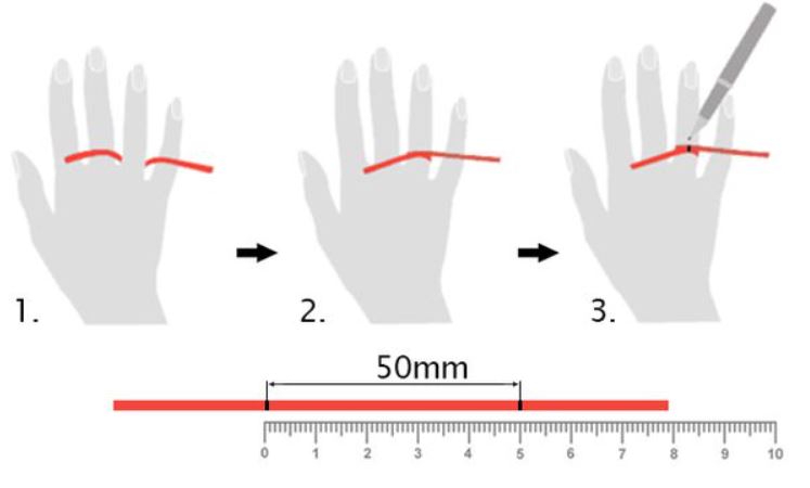 cách đo size nhẫn bằng giấy